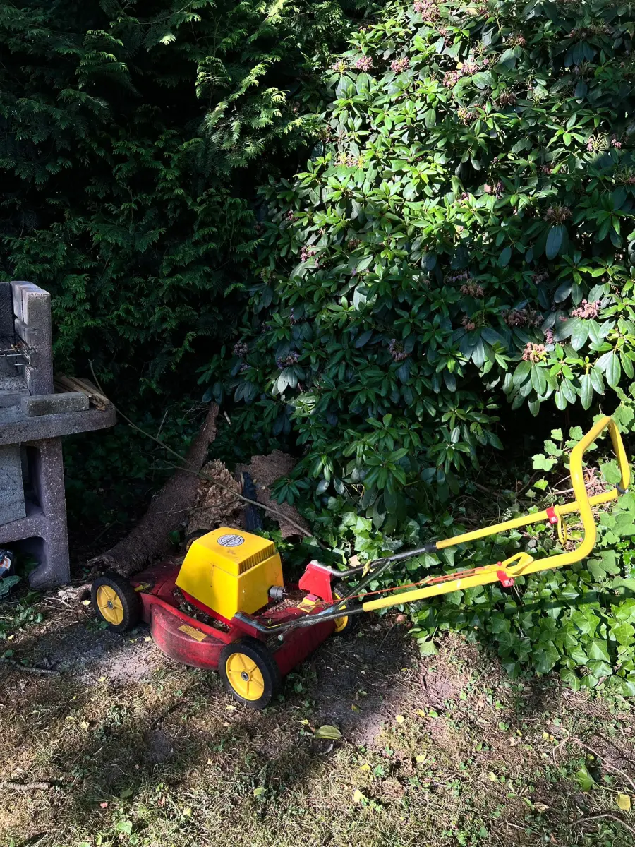 Grasmaaier